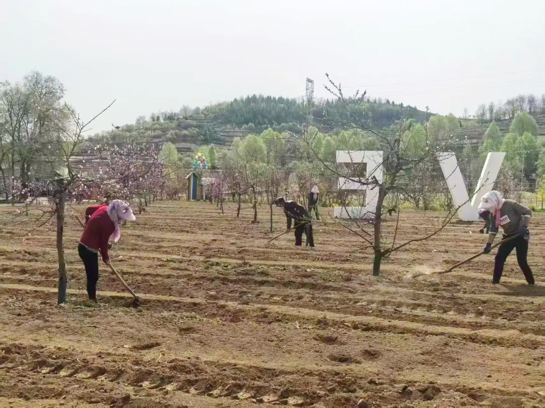 乡村游景上添“花”　华亭吸睛又吸金