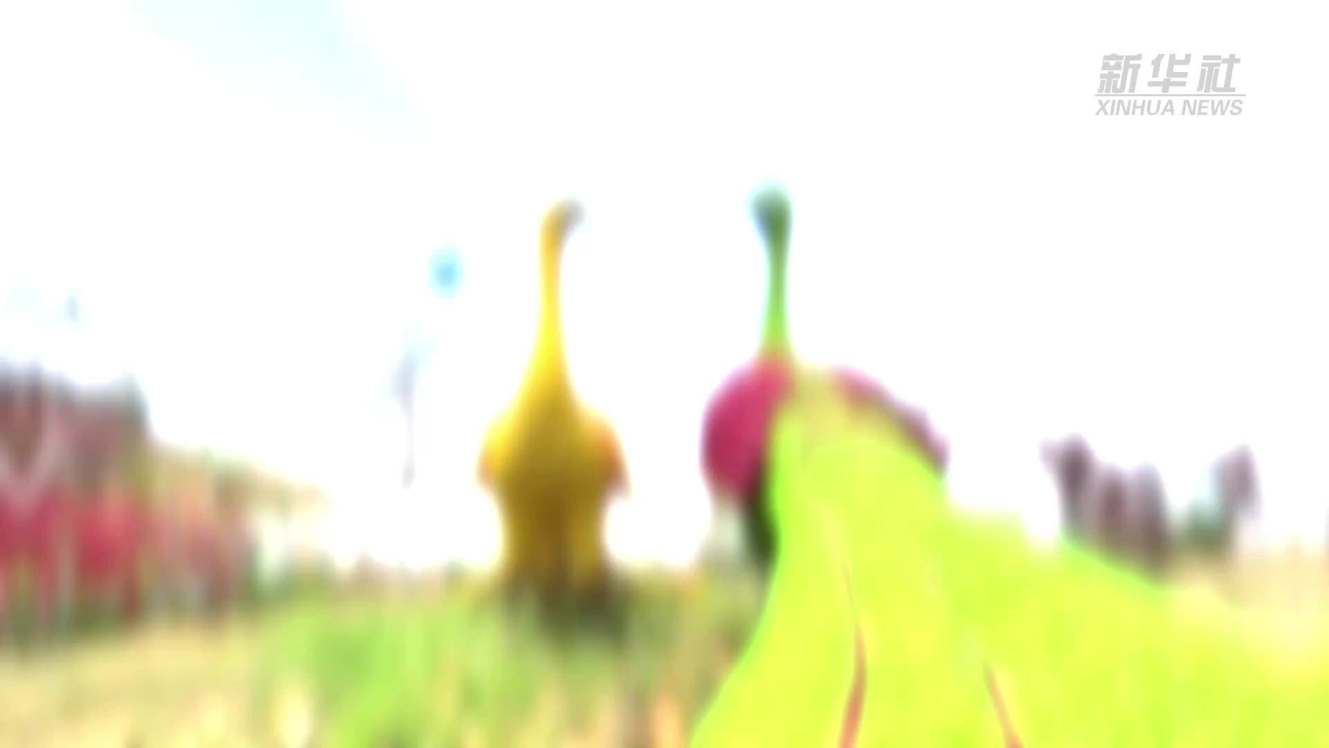 以数观势｜“五一”假期热潮涌动 假日经济活力迸发