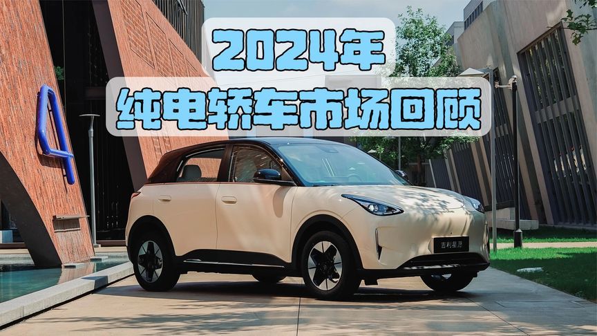 2024年纯电轿车市场回顾
