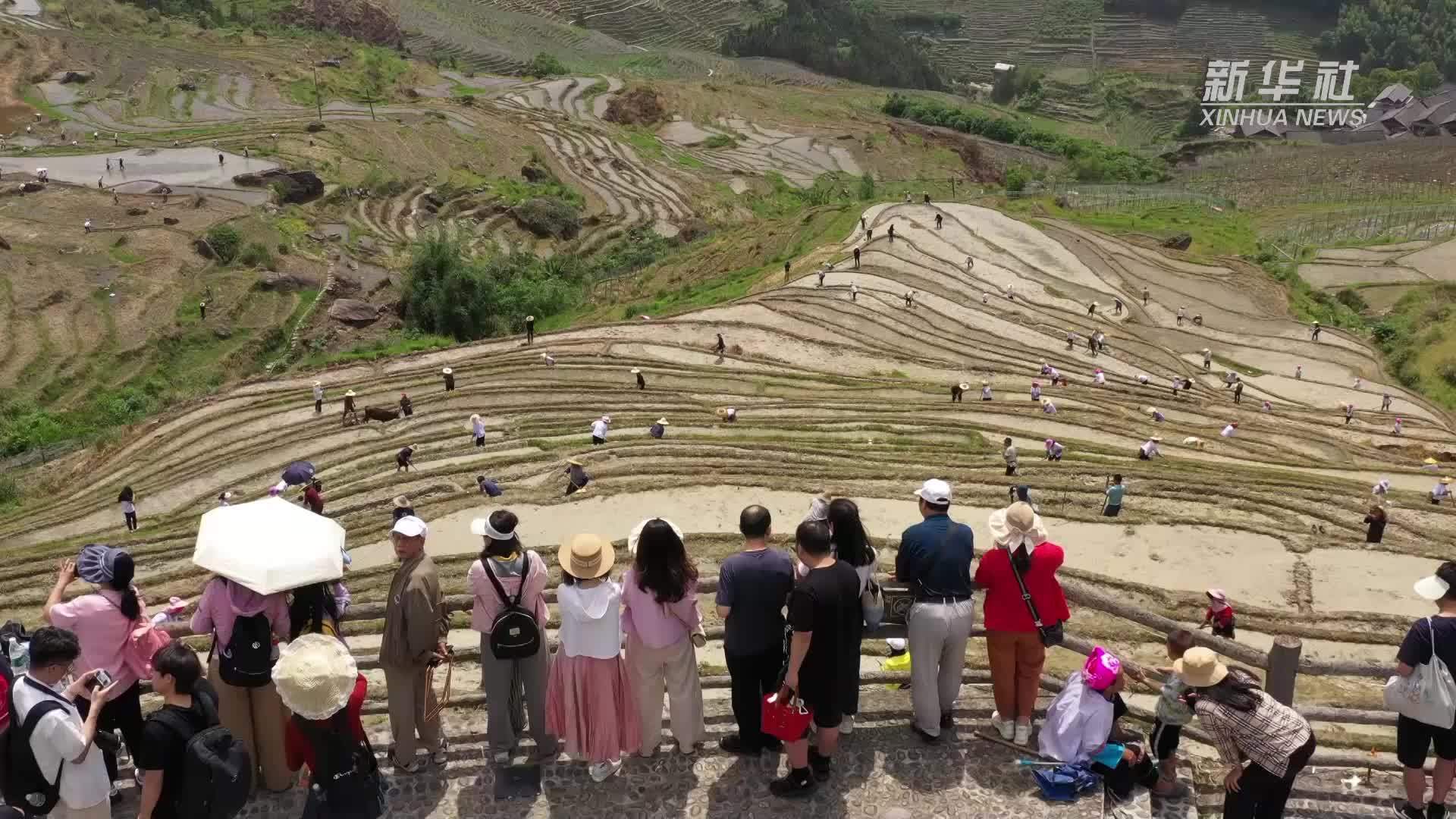 广西龙胜：景点人气旺展现全域旅游活力
