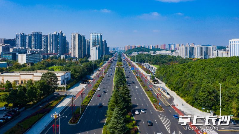 蓝天下的岳麓大道路面干净整洁。长沙晚报全媒体记者 邹麟 摄