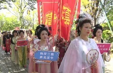 增长58.67%！汉中60多项特色活动推动城市流量变现