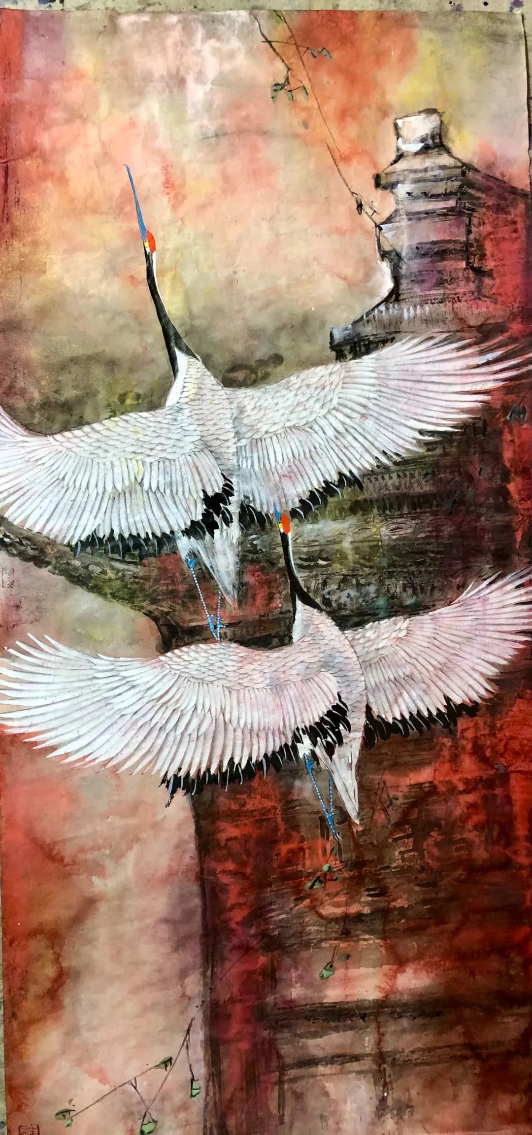 图片