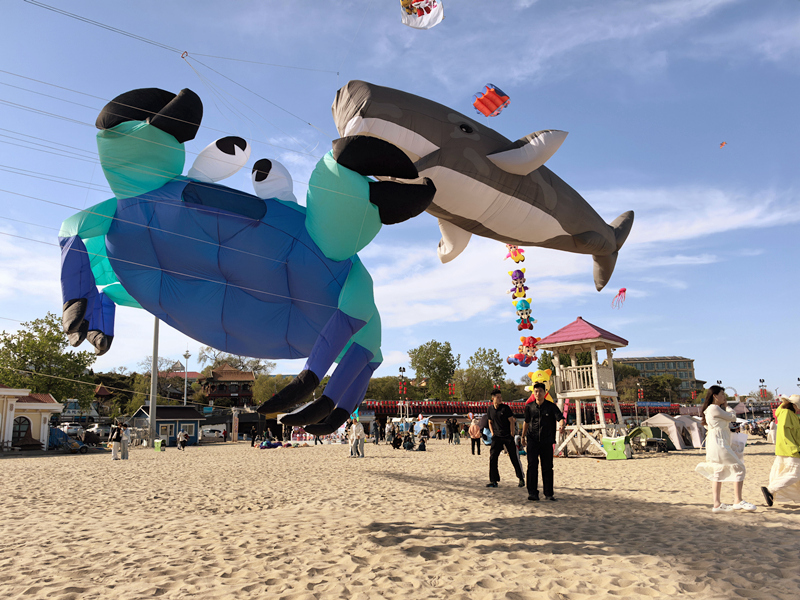 海边放风筝 “螃蟹”飞上天_副本.jpg