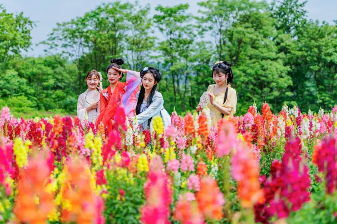 东安县南溪花海景区，游客在赏花游玩