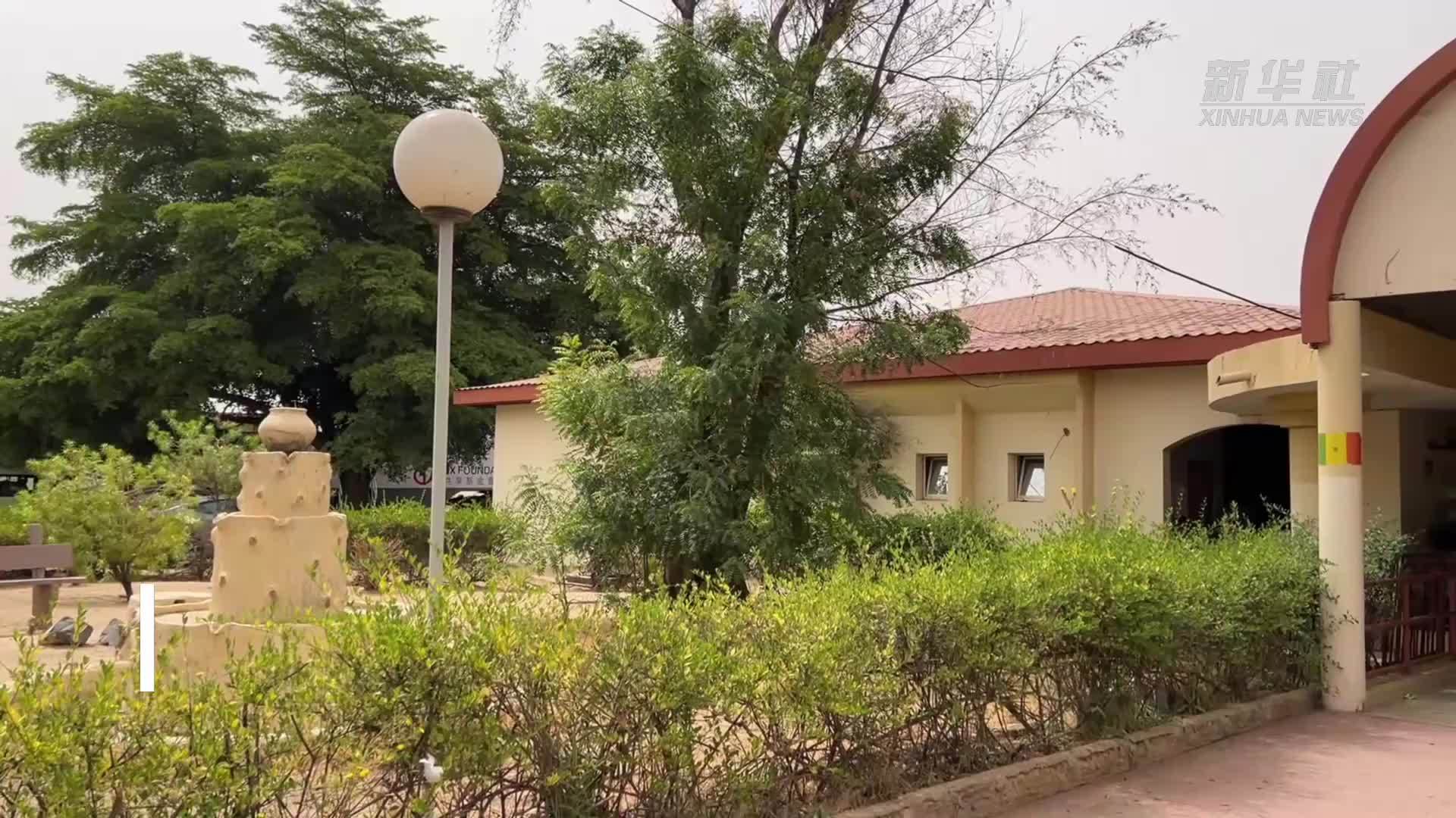 中国医生让塞内加尔白内障患者重见光明