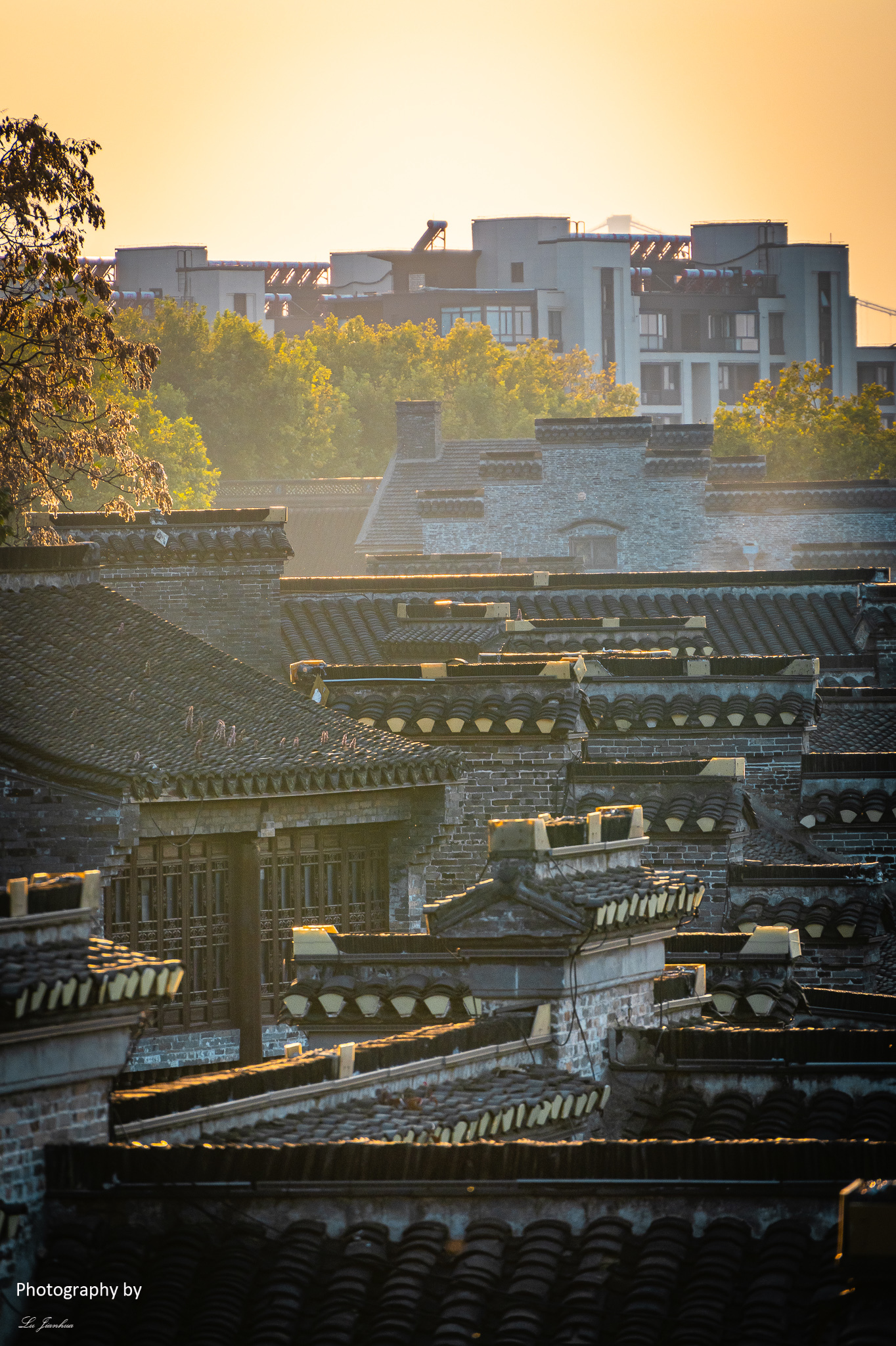 摄影：陆建华