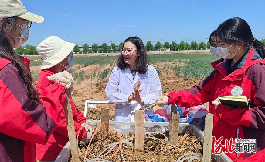 4月22日，曲周绿色低碳科技小院师生进行堆肥试验。 河北日报记者 孙青摄.jpg