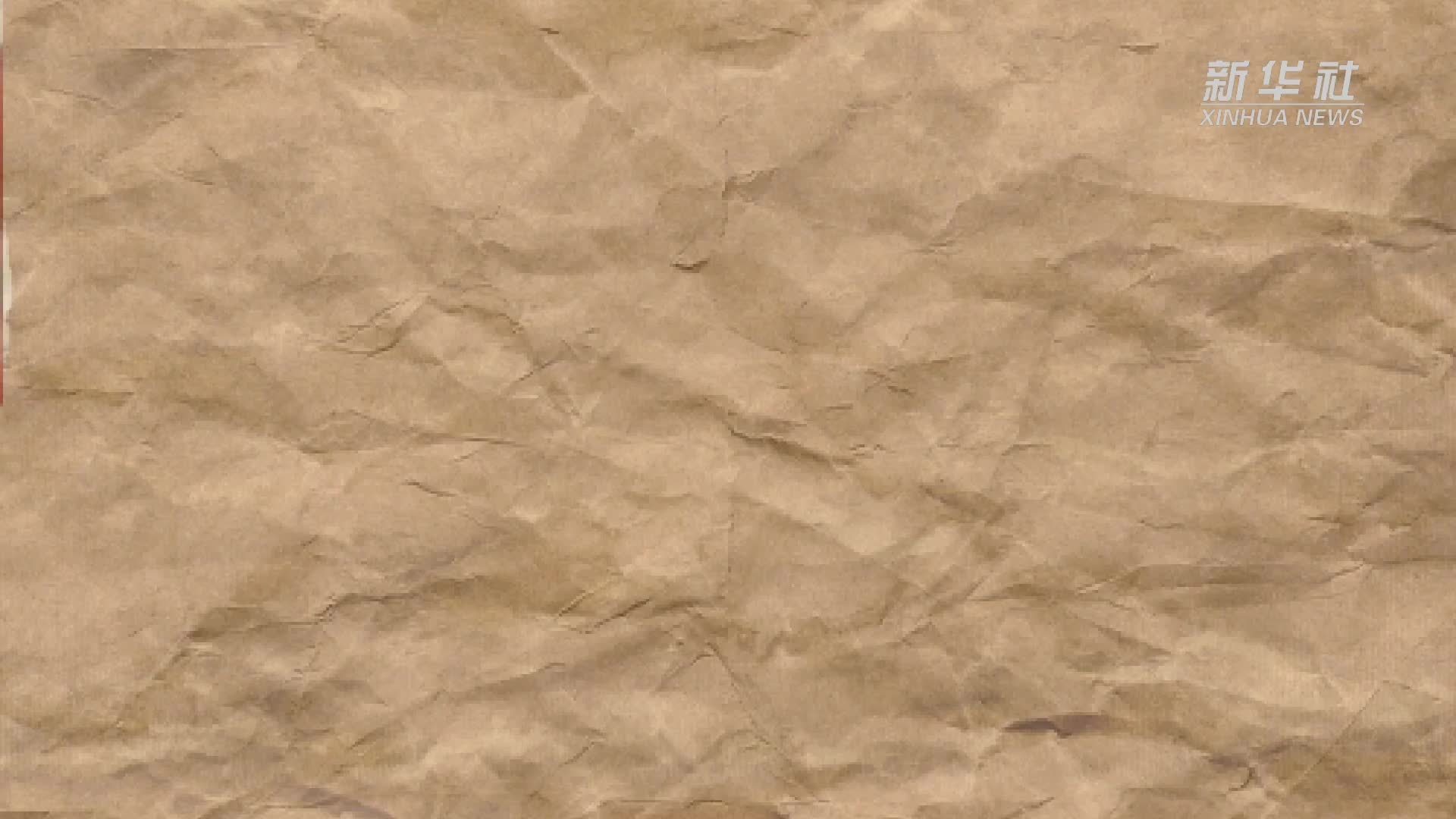 Vlog｜一颗西红柿的跨国之旅