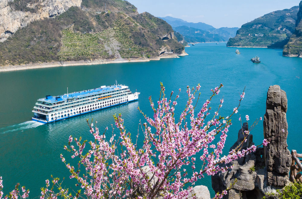 2025年3月19日，船舶行驶在长江三峡西陵峡湖北省宜昌市秭归县水域，岸上桃花绽放（无人机照片）。新华社发（郑家裕 摄）