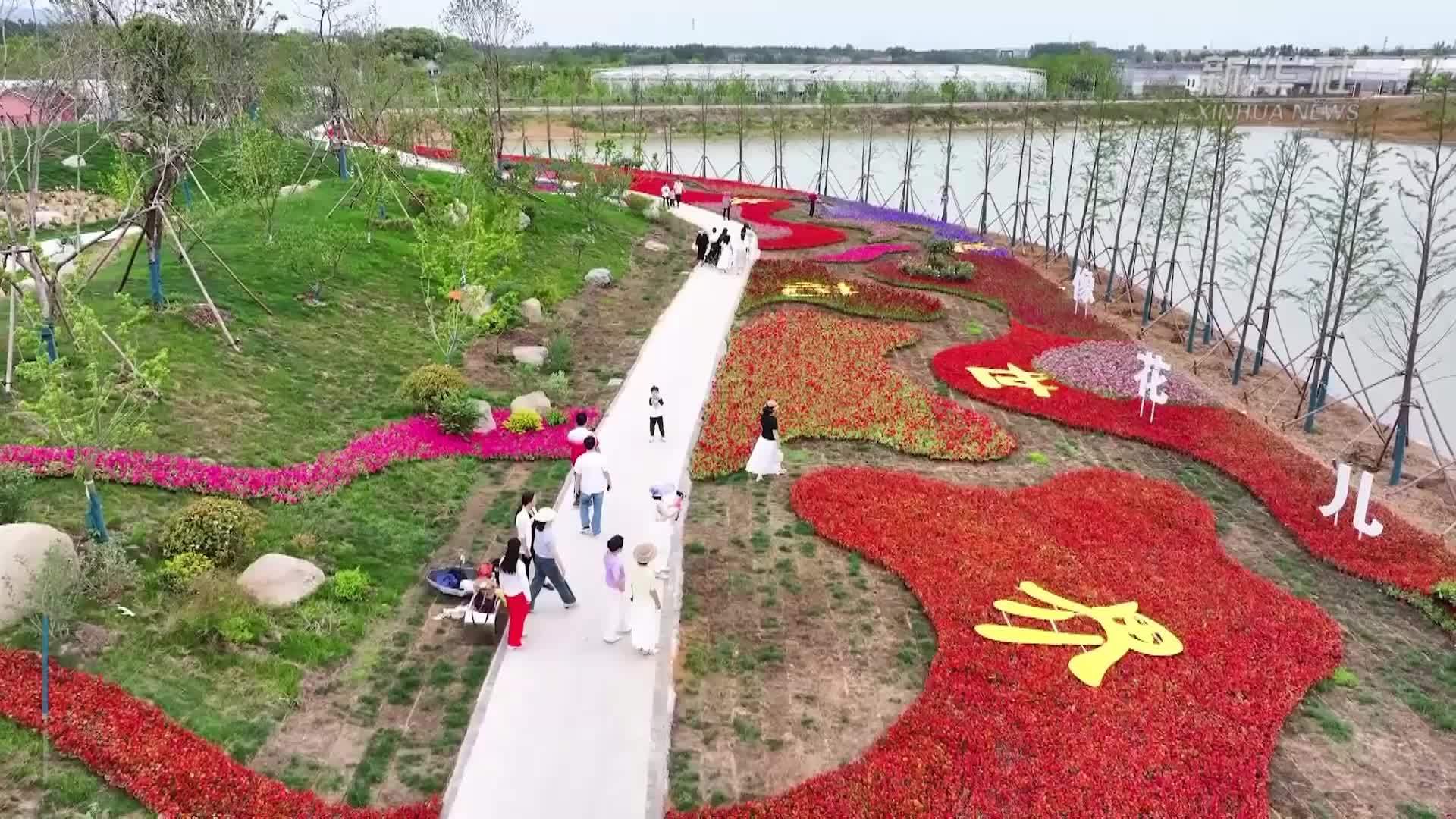 安徽郎溪：“五一”假期邂逅花海