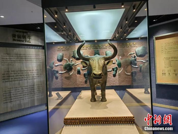 天祝县博物馆展陈的中国国宝级文物铜牦牛（资料图）　天祝县博物馆供图