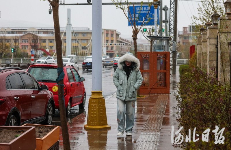 坝上降下雨夹雪5.jpeg