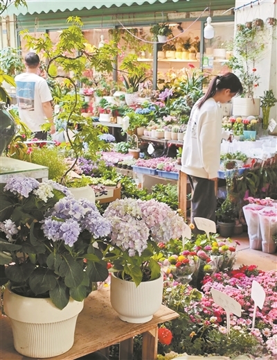 市民在花鳥市場選購鮮花