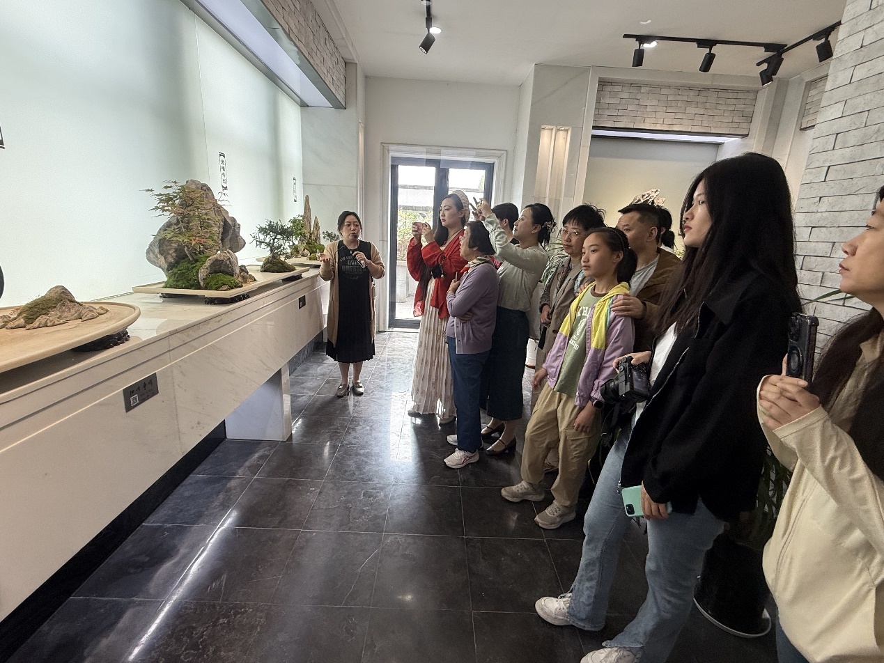 图为体验团参观盆景园。