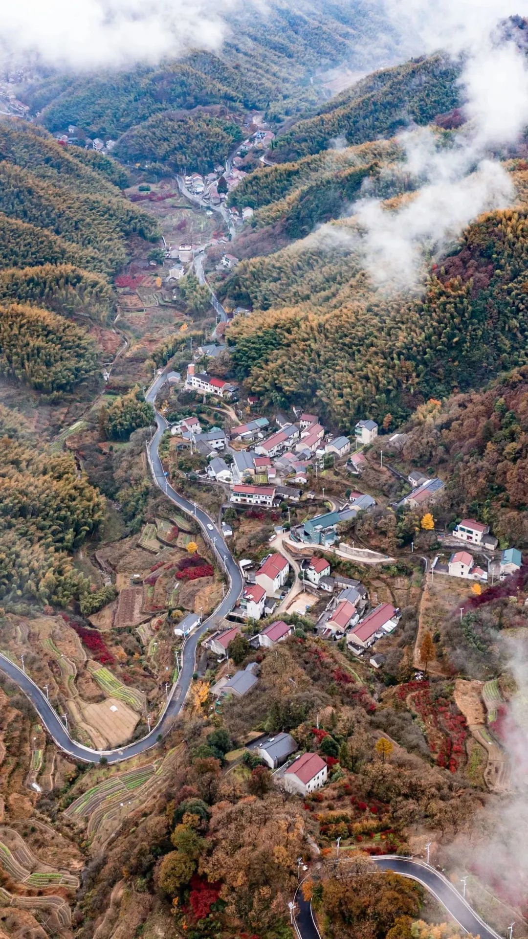 四明山秋色。宁波发布特约摄影师 许海军‍摄.jpg
