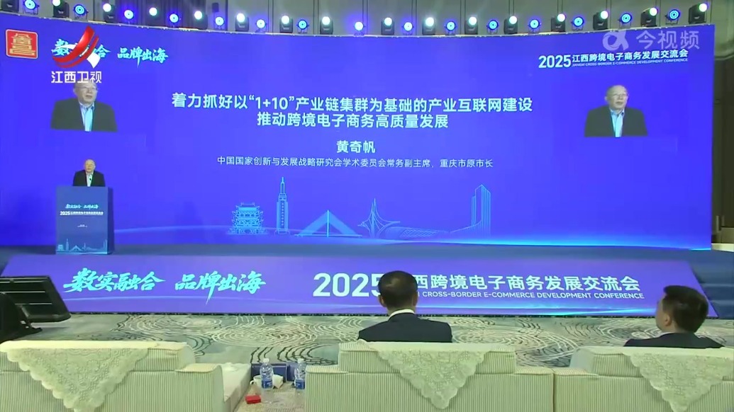 2025江西跨境电子商务发展交流会召开 马培华出席并致辞