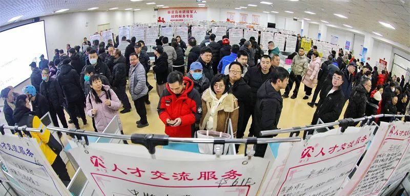 “秦学有为 岛演未来”高校毕业生专场招聘会在秦皇岛市人力资源服务产业园成功举办。秦皇岛市人社局供图