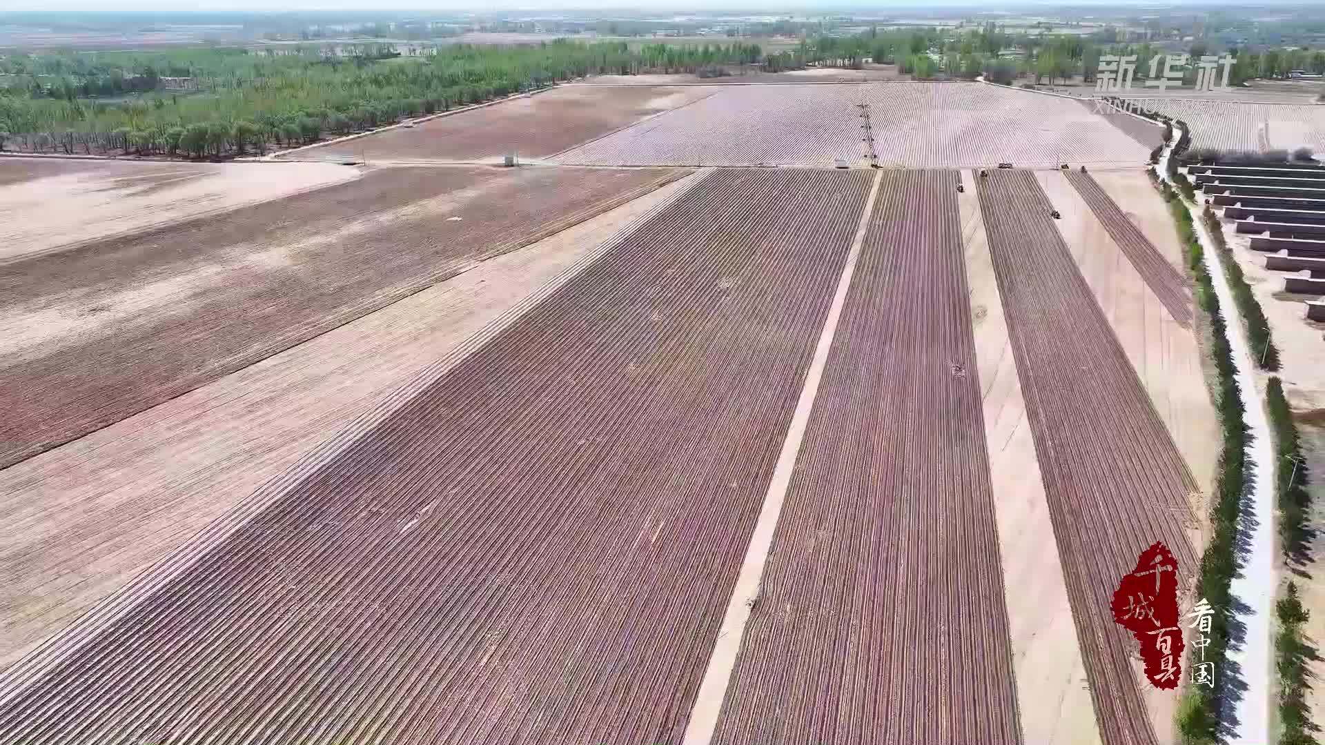 千城百县看中国｜内蒙古：沃野田畴绘春景