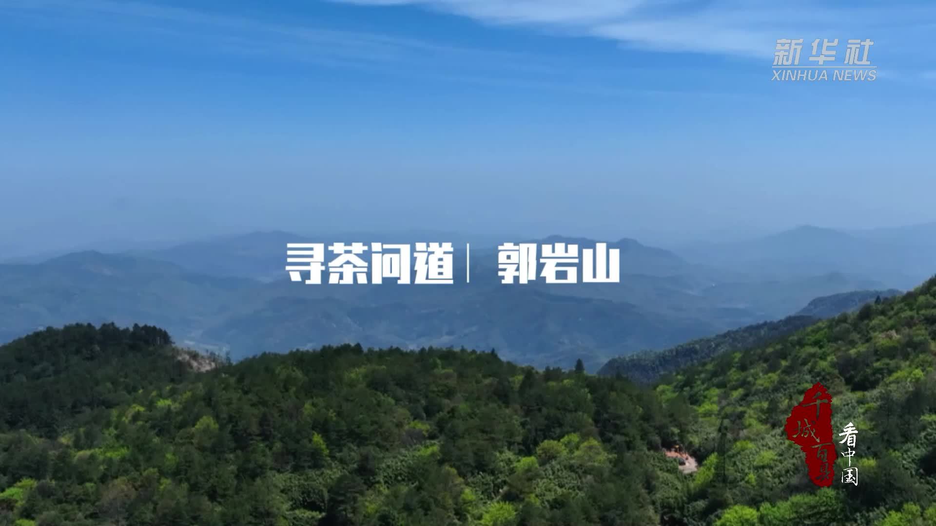 千城百县看中国｜福建顺昌：寻茶问道郭岩山