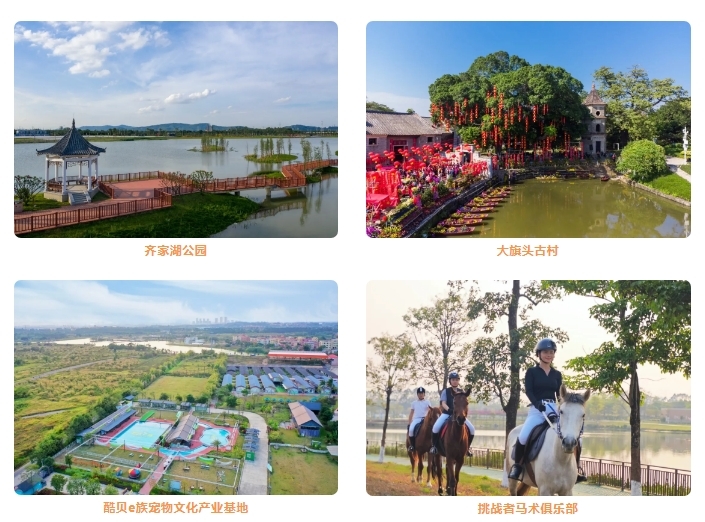 畅享“百千万工程”下的城乡新貌！乐平镇携手佛山市化妆品行业协会开启城市美学体验之旅