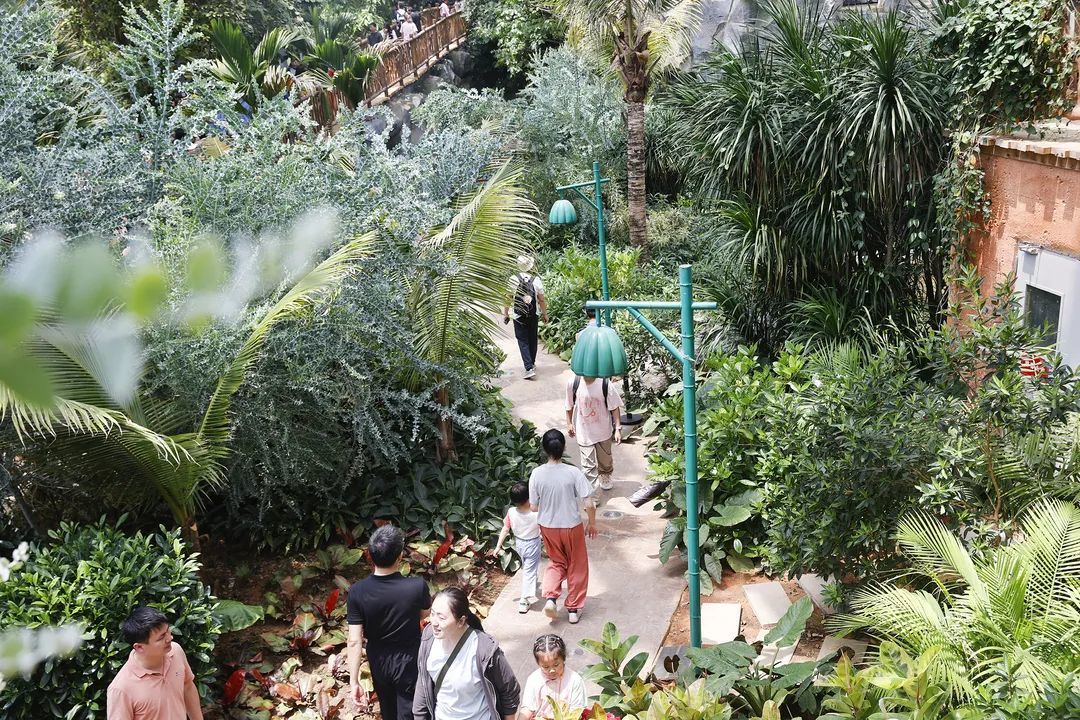 ▲来源：新建发布