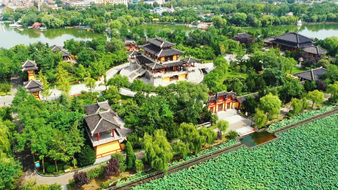 共赴青春之约！百余名高校学子走进沛县