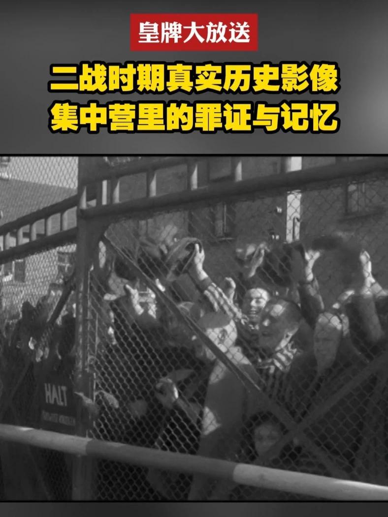 1944，苏联红军突入波兰灭绝营，镜头撕开纳粹屠戮之幕；1945，随军摄影师在奥斯维辛集中营中定格犹太幸存者的真实画面……为纪念世界反法西斯战争胜利80年，凤凰卫视《焦土之上》特别行动团队正在重走二战