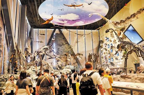 5月4日,游客在中国古动物馆(保定自然博物馆)参观。 孙浩霖摄