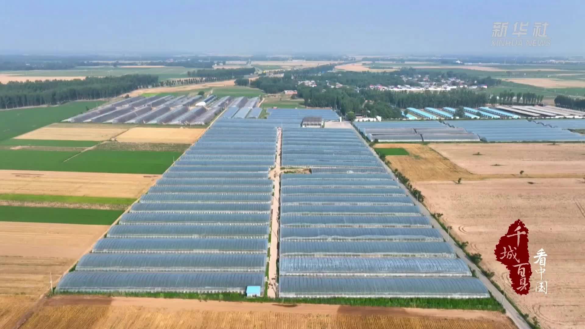 千城百县看中国｜河北南宫：“五一”假期乡村采摘游受青睐