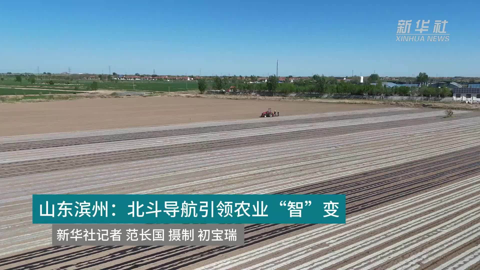 山东滨州：北斗导航引领农业“智”变
