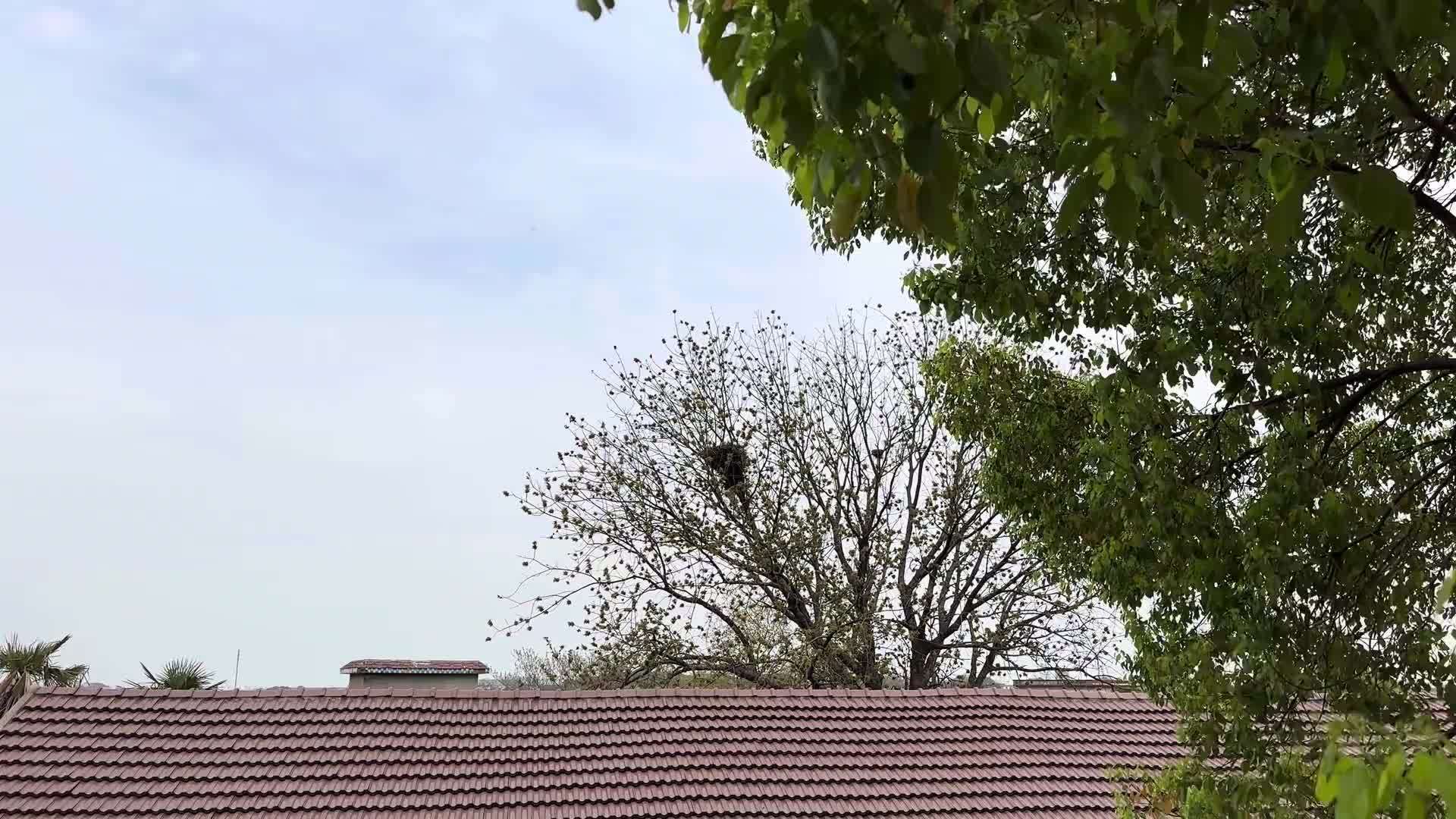 这锅河鲜大杂烩你们吃过吗，农村小伙用这道乡村美食招待几位大爷