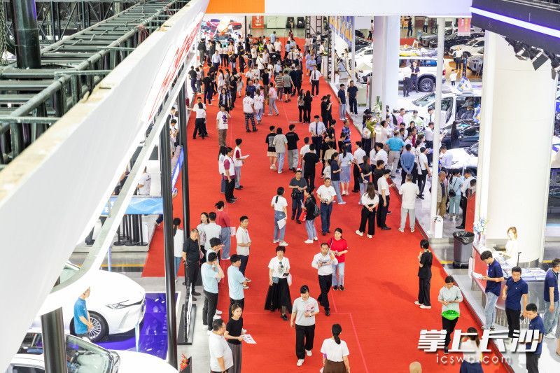 2025湖南车展吸引了全省及外省的消费者纷纷涌入。均为长沙晚报全媒体记者 董阳 摄