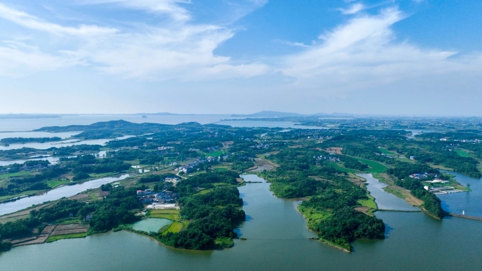 江西湖口：村集体经济三年倍增背后的“激励密码”