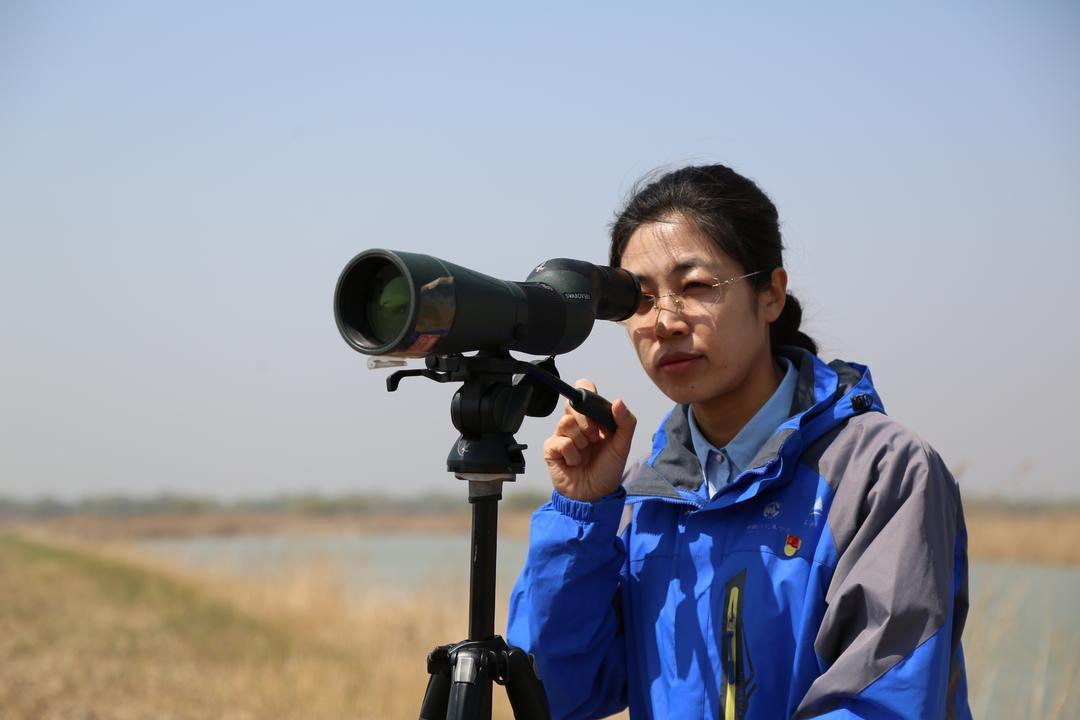 赵亚杰在保护区监测迁徙候鸟。