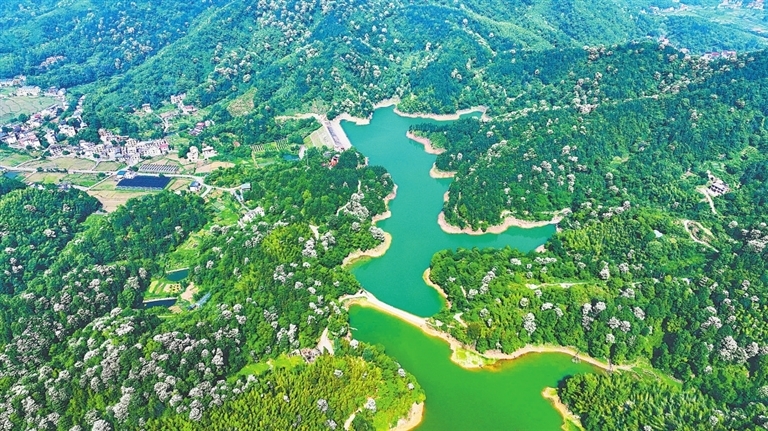 萍鄉安源區：鄉村美景（圖）
