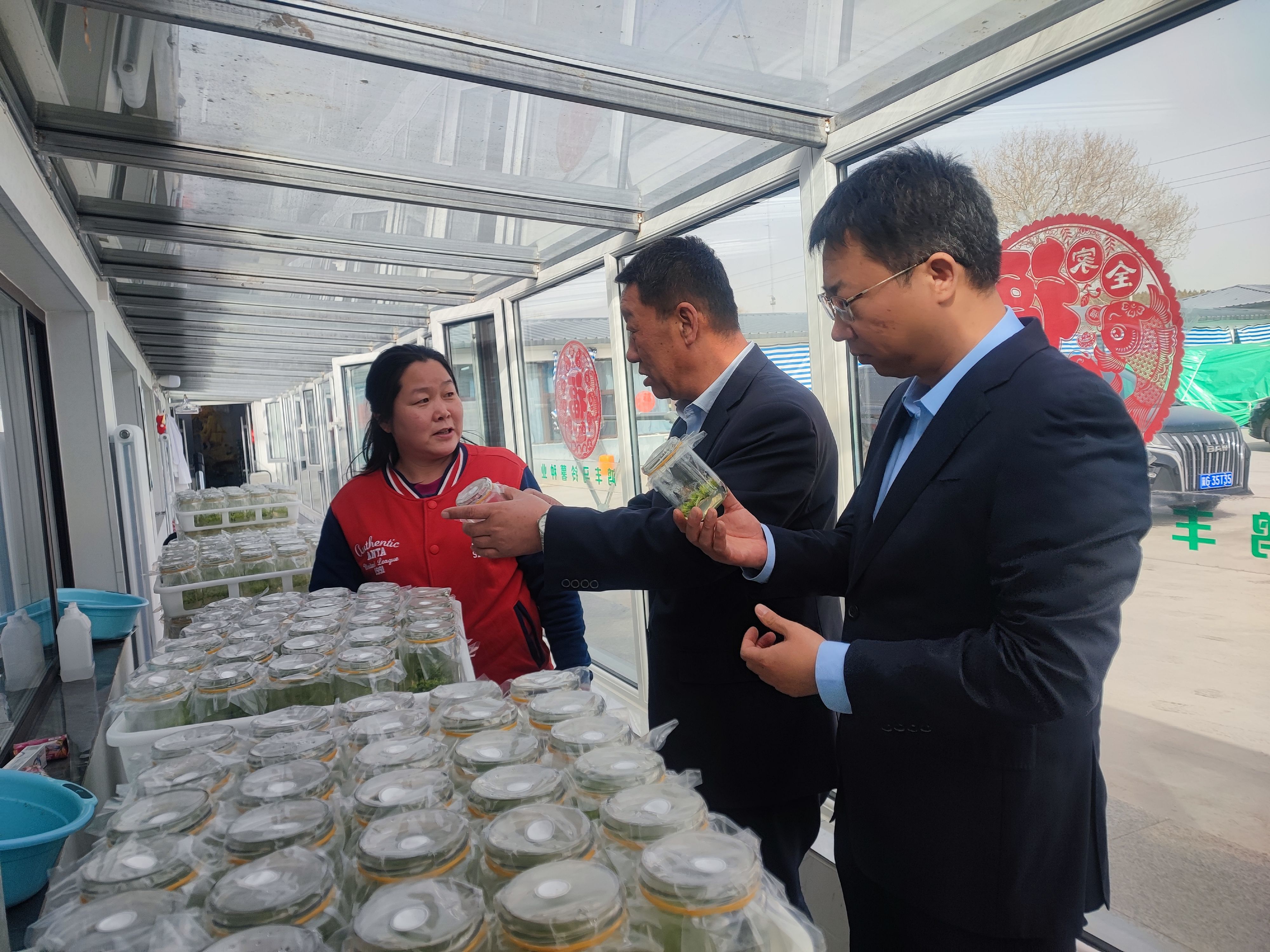 张北县鸿丰马铃薯种业有限公司的马铃薯组培车间 窦晓漪拍摄