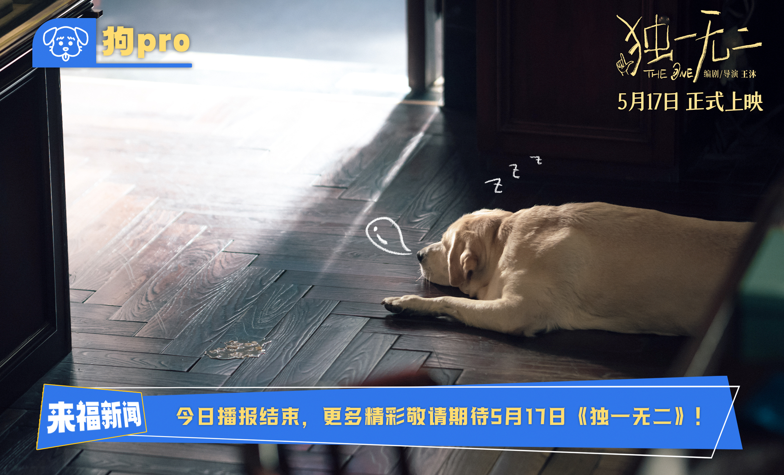 电影《独一无二》全新特辑“狗pro”观察室爆料全新大“瓜” 张婧仪辛云来兄妹助攻互为“恋爱军师”