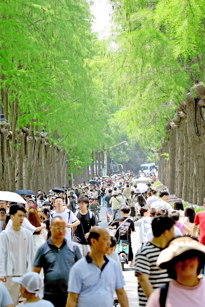 东湖绿道游人如织 东湖风景区供图