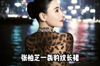 张柏芝晒豹纹长裙港风照，再现“我养你”名场面“