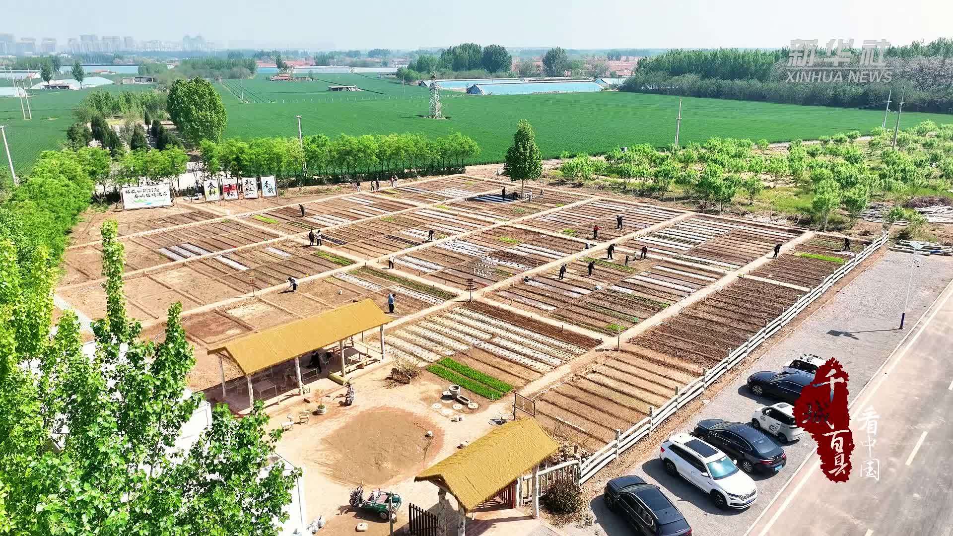 千城百县看中国｜山东广饶：“五一”劳动新体验 田园耕种乐趣多