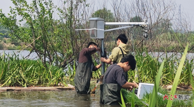 李言闊帶著學生為人工浮島安裝紅外攝像機
