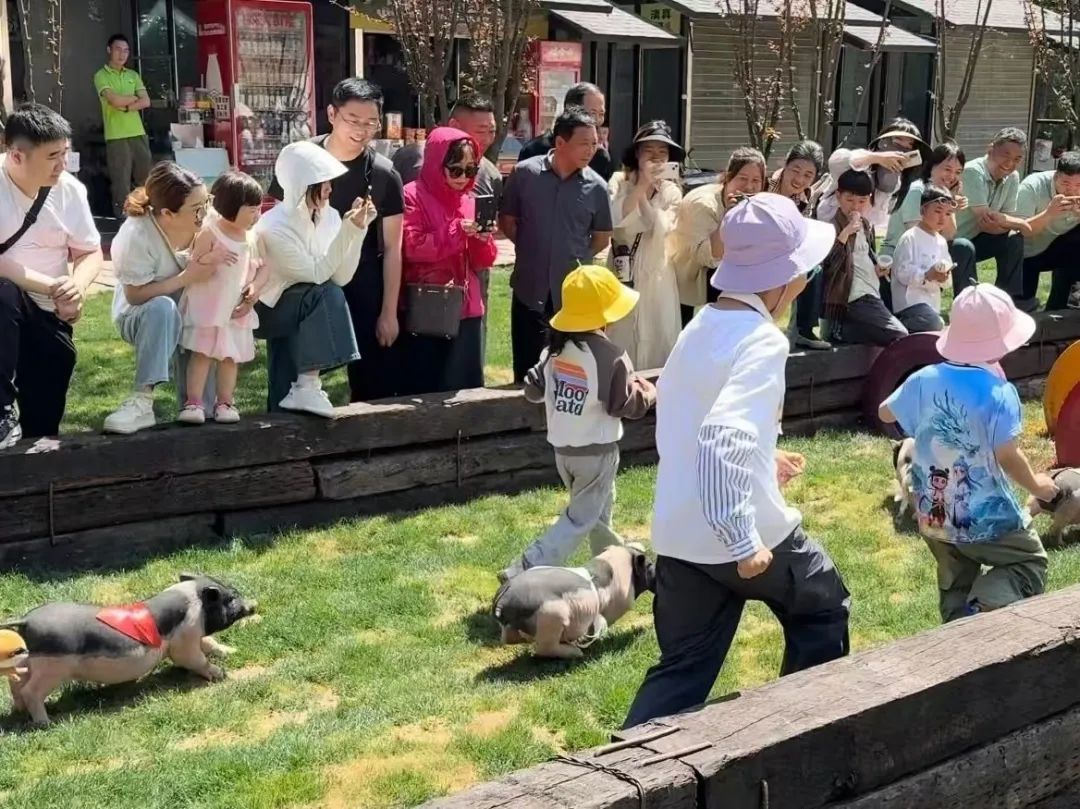 微信圖片_20250505150932.jpg