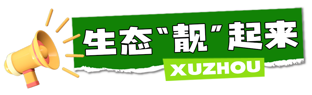 “五一”又火了，徐州何以网红榜首？