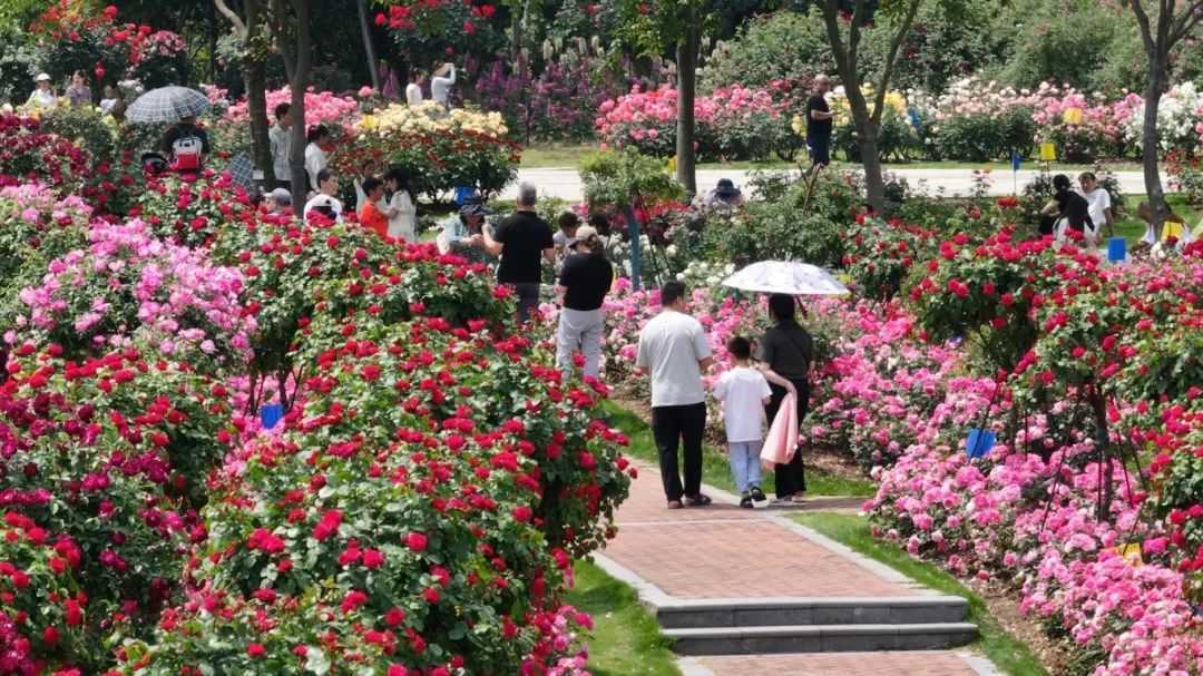 宁波植物园.jpg