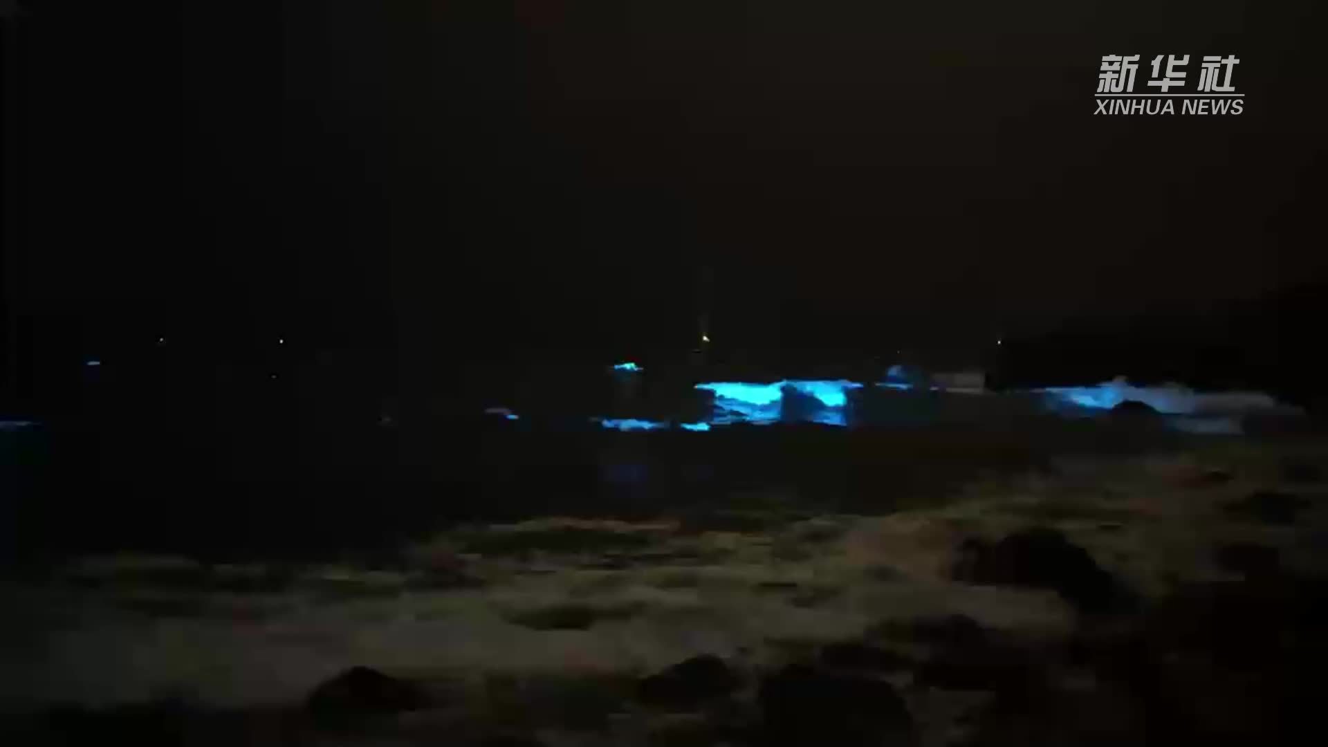 福建平潭迎来“蓝眼泪”大爆发