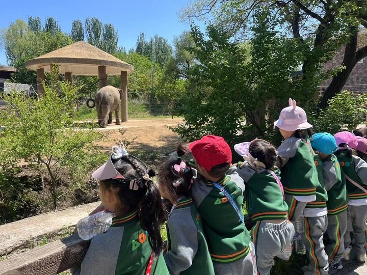 2024年5月20日，小朋友们在长春市动植物公园观赏母象“昂亚”。（新华社记者 赵丹丹 摄）