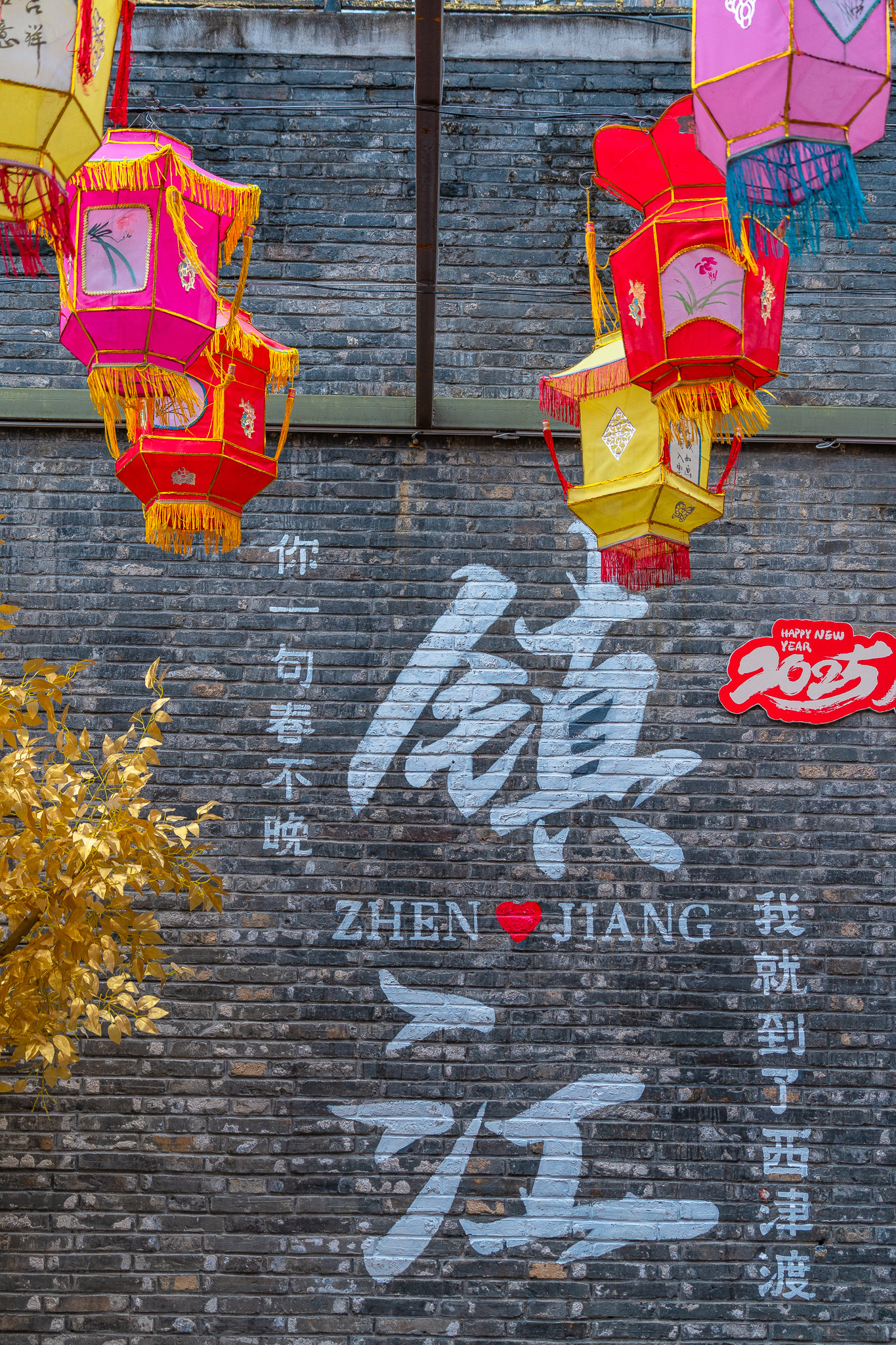 摄影：陆建华