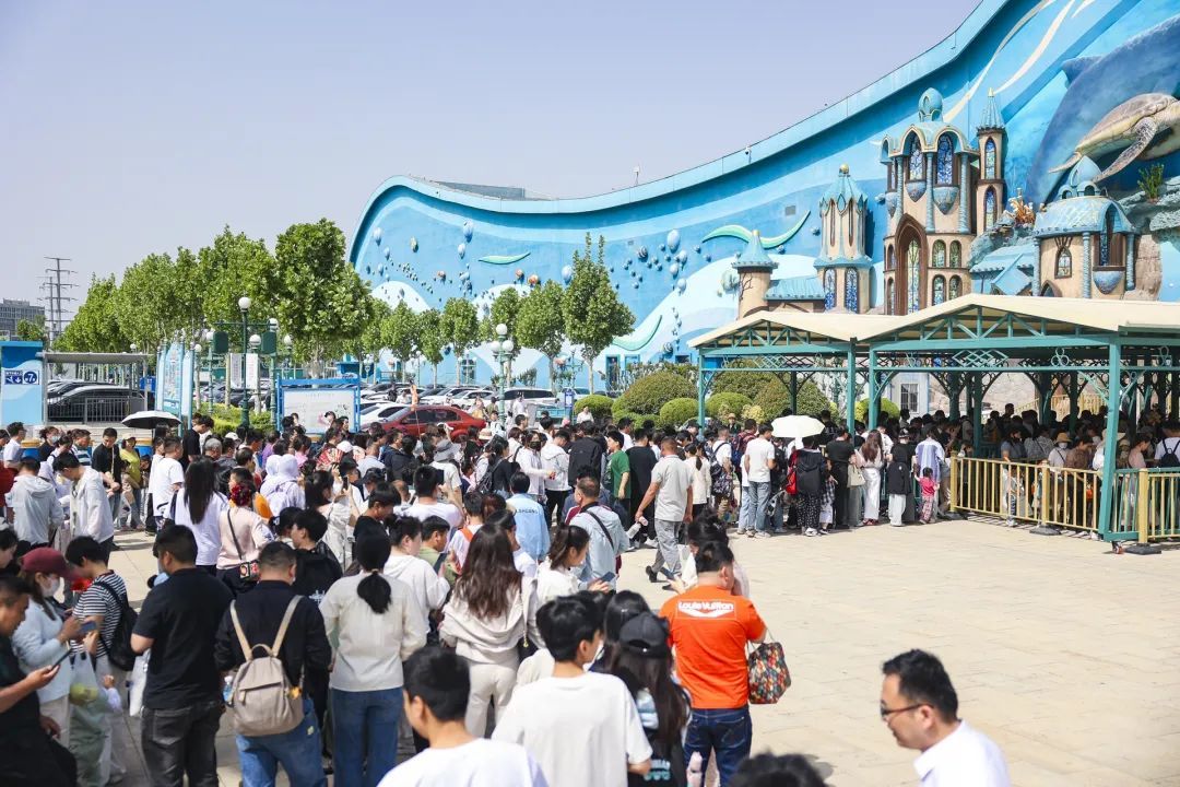 从魅力光影到全域绽放，鼓楼文旅“热力值”拉满
