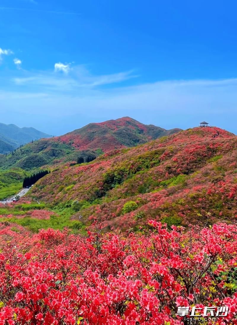 五一假期，这个地方长沙最红